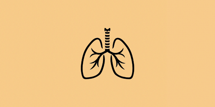 Cuidados para una buena salud respiratoria